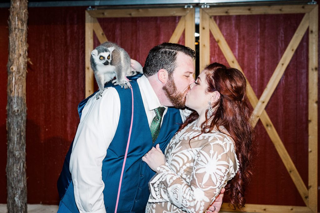 newlyweds kiss with lemur sitting on groom's shoulder at Texas wedding reception
