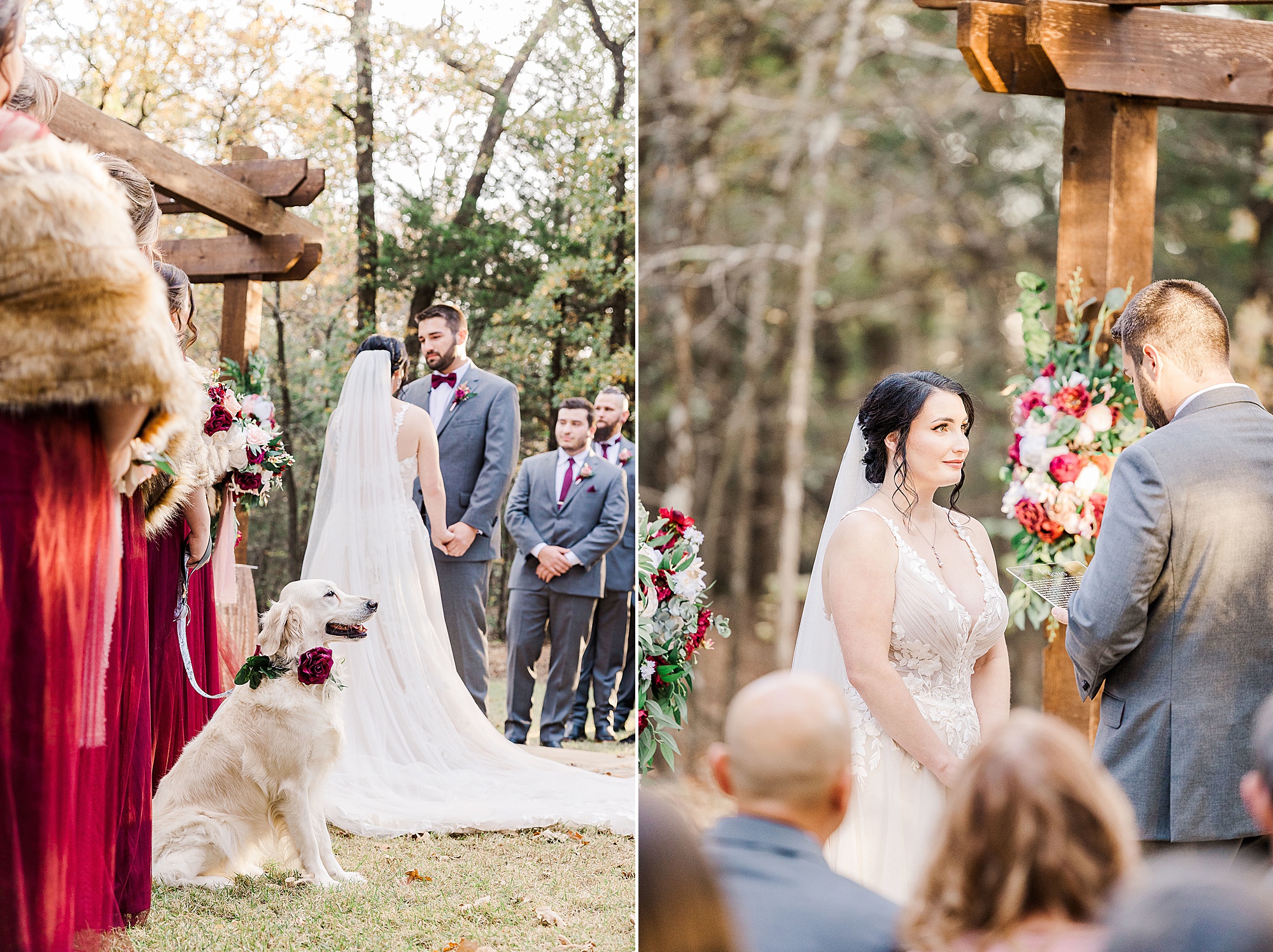 outdoor wedding ceremony in North Texas with dogs
