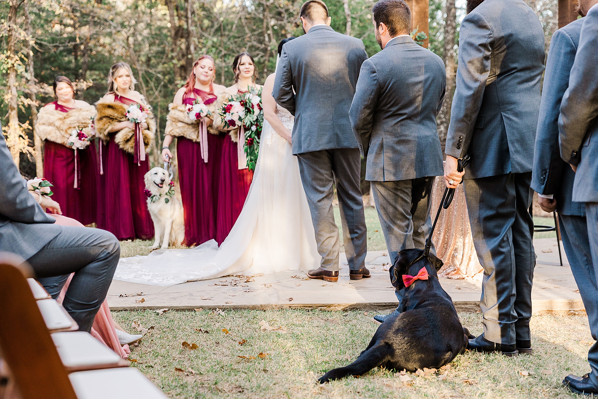 newlyweds exchange vows during outdoor wedding ceremony in North Texas while dogs watch
