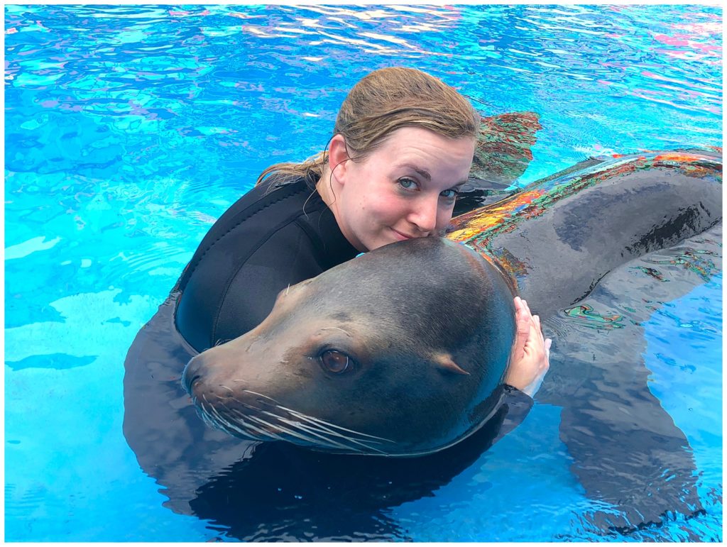 Saying Goodbye to Digit the Sea Lion