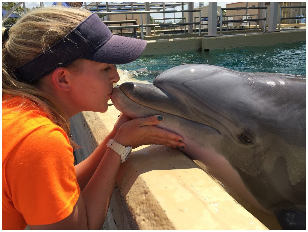 Kissing Rescue Dolphin