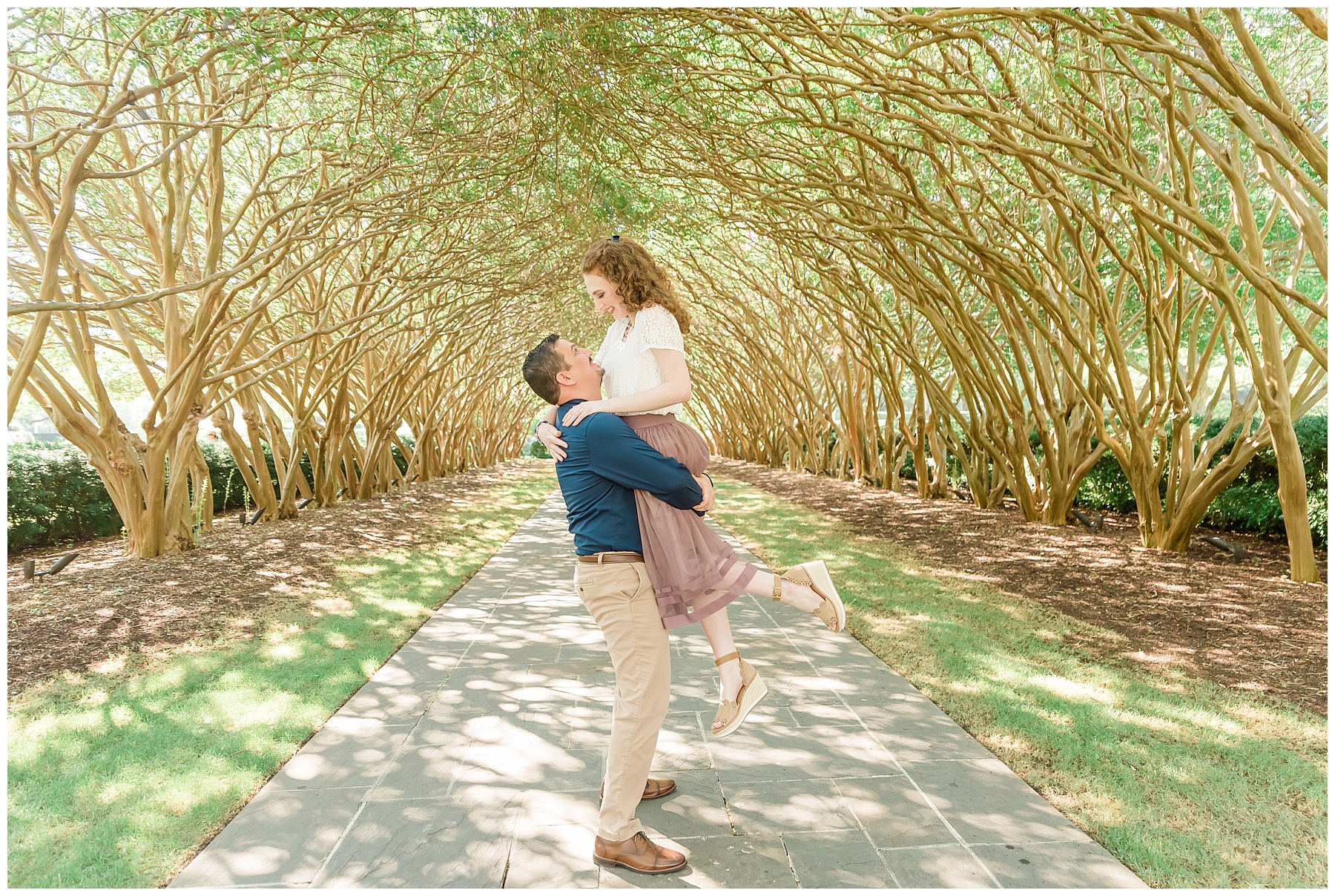 engaged couple at dallas arboretum in crepe myrtle allee