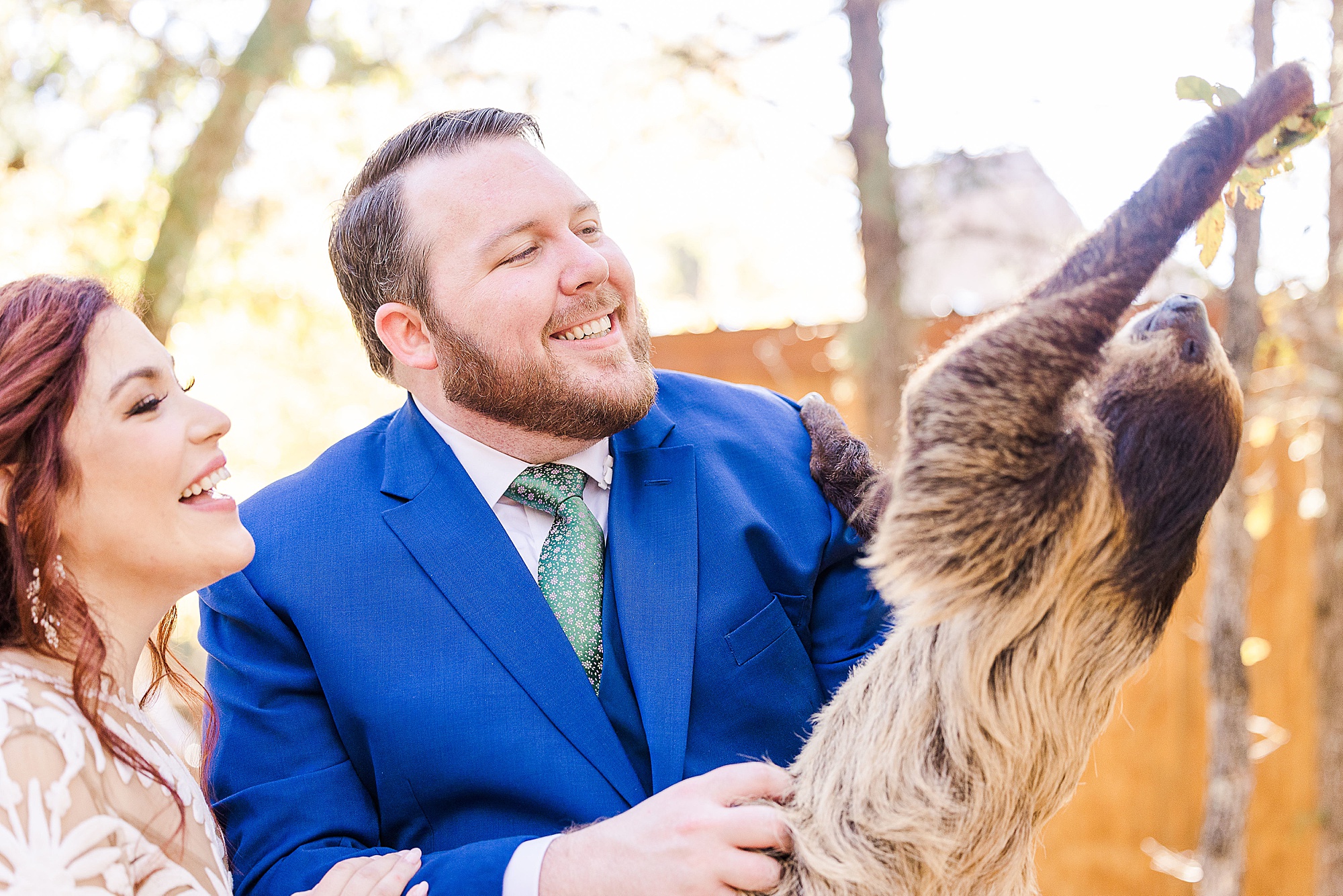 bride and groom meet sloth at Oak Meadow Ranch