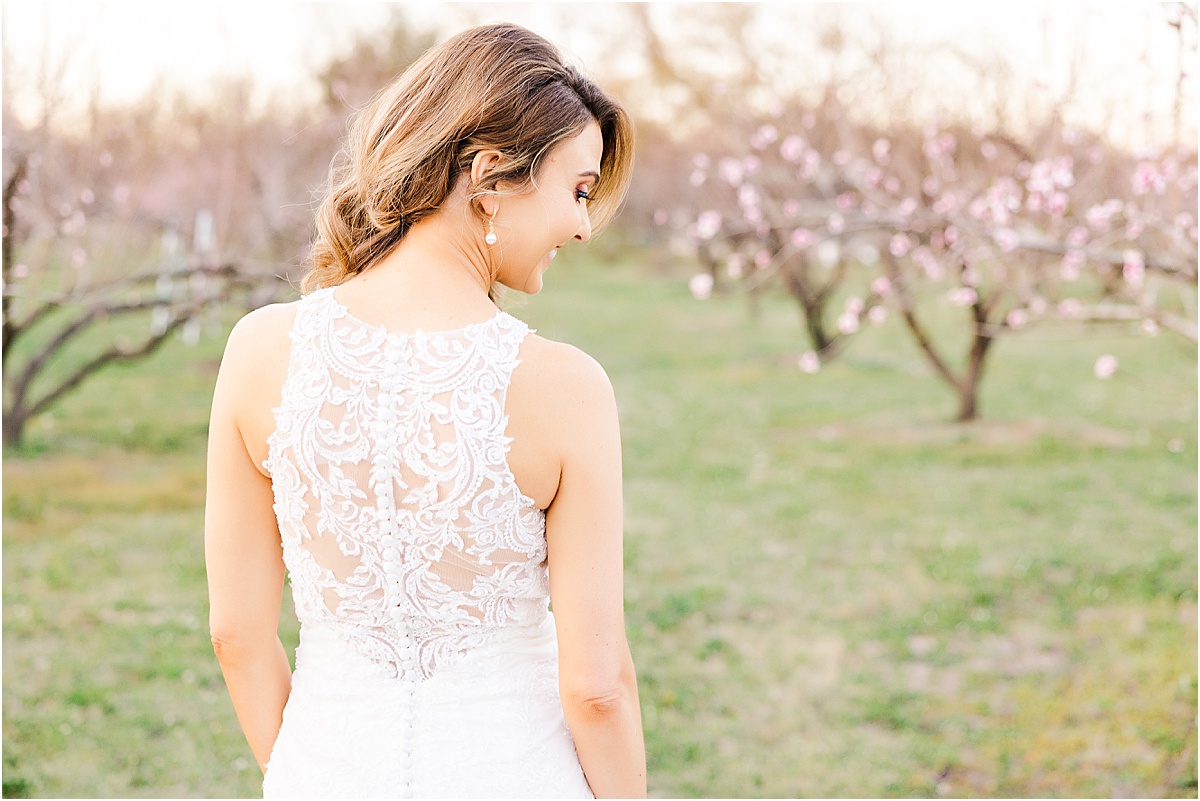 bride with button up lace dress looking at peach trees at bridal session
