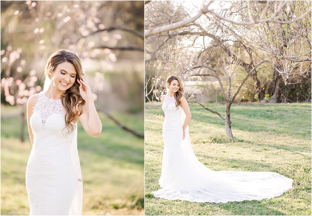 bride in lace gown with chapel length train in peach orchard at bridal session
